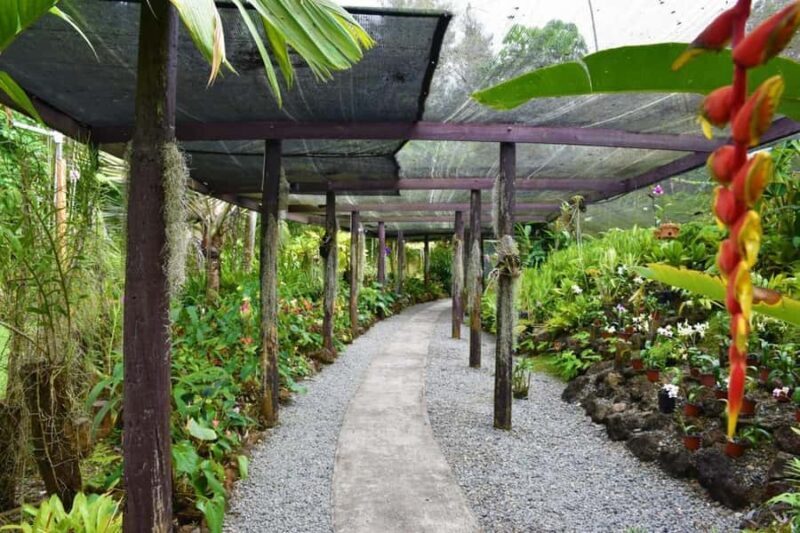 Fiji: Discover Nadi with Sabeto Hotspring and Mudpool Tour - FAQs