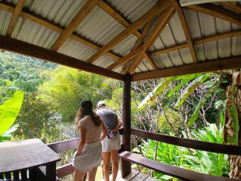 FIJI: Garden of the Sleeping Giant Tour - An In-Depth Look at the Garden of the Sleeping Giant Tour