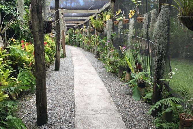 Fiji Island Cultural Experience with Lunch - Who Is This Tour Best For?