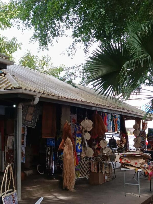 Fiji: Nadi Tour with Tifajek Mudpool and Hotspring Visit - Final Thoughts