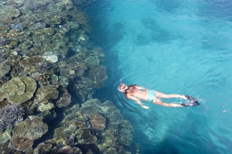 Fiji: South Sea Island Combo Half Day Trip Lunch & Drinks - An In-Depth Look at the Fiji South Sea Island Combo