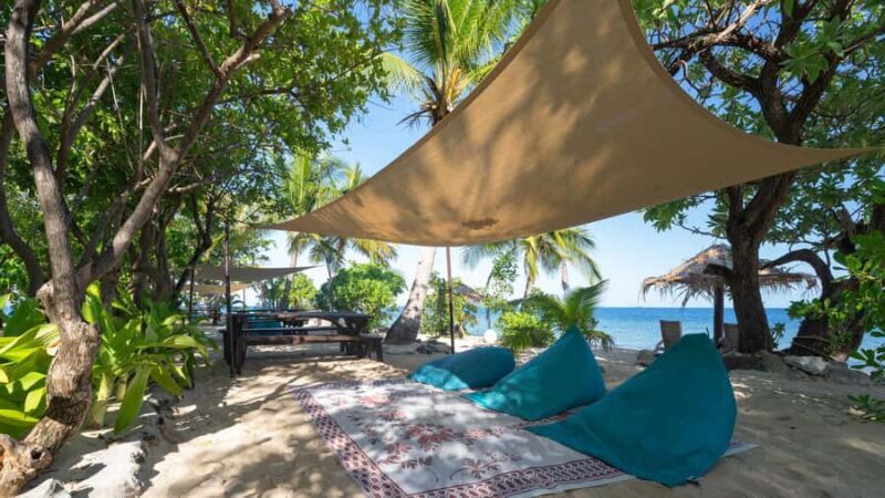 Fiji: South Sea Island Full Day Trip with Lunch & Drinks - The Full Experience: What You Can Expect