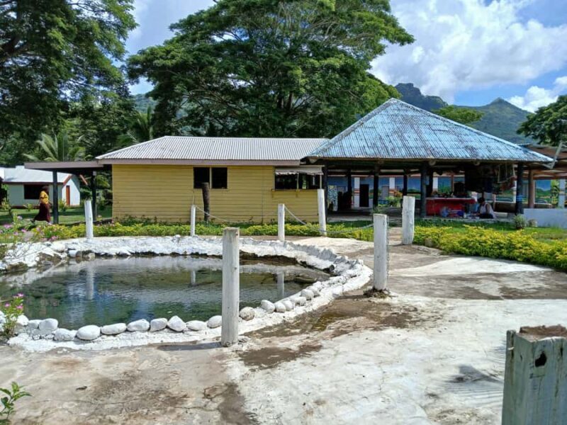 Fiji: Tifajek Mud Pool & Hotspring Tours & Tickets - Who Should Consider This Experience?