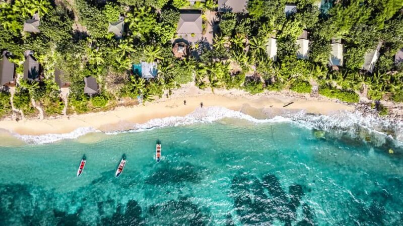 Fiji: Ultimate Encounters Snorkel with Sharks and Lunch - Key Points