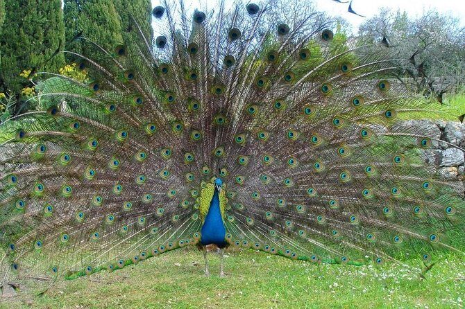 Filerimos Hill & Valley of Butterflies - Key Points