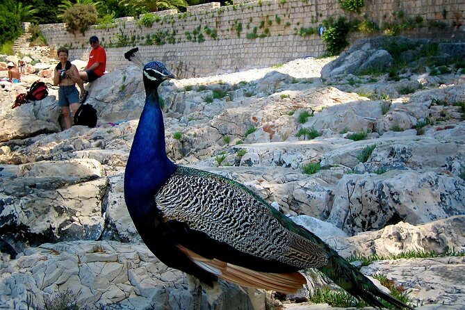 Filerimos Hill & Valley of Butterflies - A Detailed Look at the Tour Experience