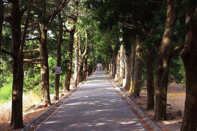 Filerimos Hill & Valley of Butterflies - FAQs