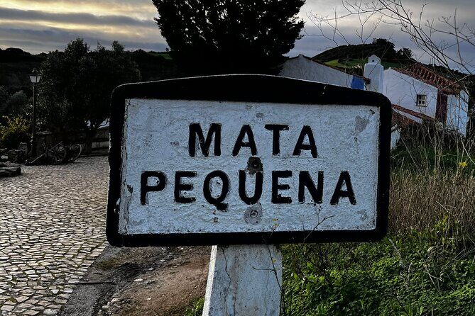 Finding the Unknown - Queluz Palace and Mafra Convent - Who is This Tour Best For?