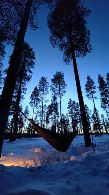 Finland Levi: Arctic Cocooning Experience in HaliPuu Forest - An In-Depth Look at the Arctic Cocooning Experience