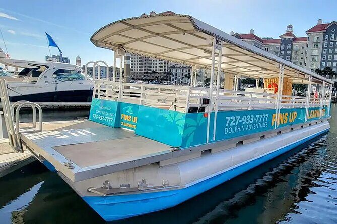 Fins Up - Dolphin & Island Sandbar Adventure in Clearwater Beach - What to Expect from the Tour