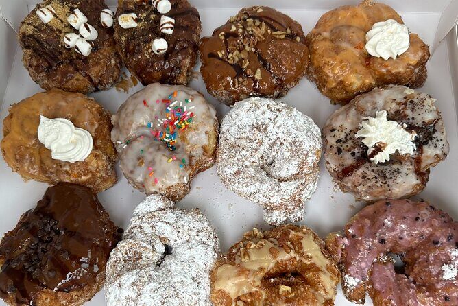 Fins Up - Dolphin & Island Sandbar Adventure in Clearwater Beach - FAQ