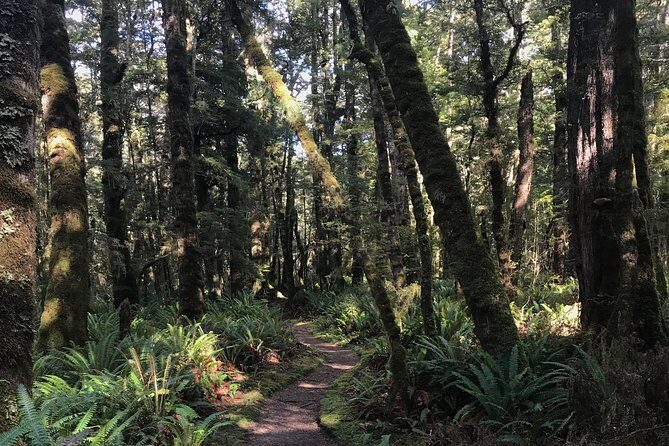 Fiordland Jet Boat and Biking Combo from Te Anau - Who Should Consider This Tour?