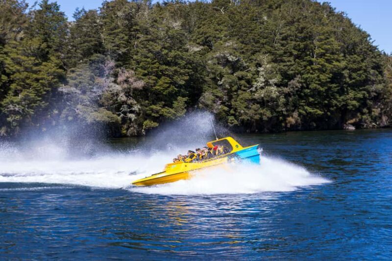 Fiordland: Jet Boat & Nature Walk Experience from Te Anau - Key Points