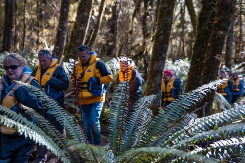 Fiordland: Jet Boat & Nature Walk Experience from Te Anau - FAQ