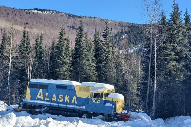 Fire & Ice: Chena Hot Springs, Ice Museum + Aurora Adventure - Key Points