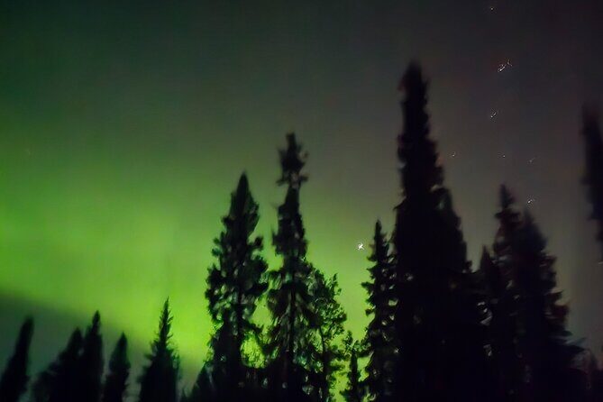 Fire & Ice: Chena Hot Springs, Ice Museum + Aurora Adventure - Who Is This Tour Best For?