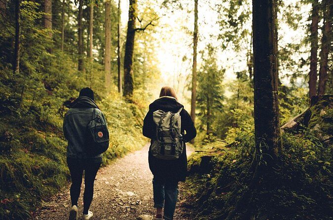 Firefly Sanctuary Tour in Puebla - Who Will Love This Tour?