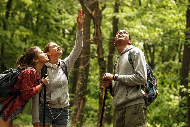 Firefly Sanctuary Tour in Puebla - Final Thoughts