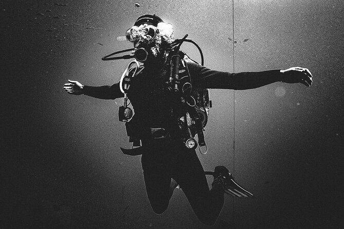 First Dive Experience in Tenerife - The Introduction: What This Experience Offers