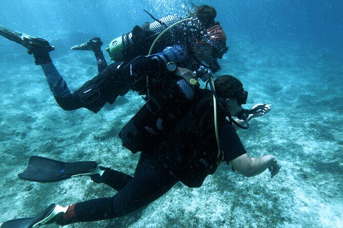 First Experience Scuba Diving - The Experience Itself: What You’ll See and Feel