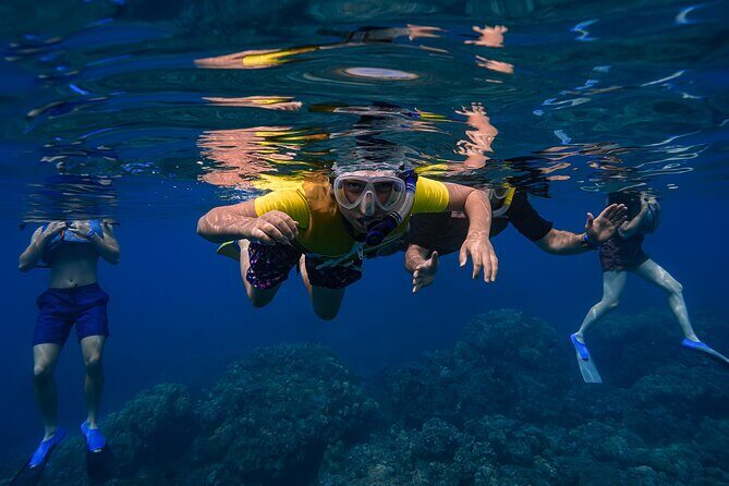 First Timers and Non-Swimmers Snorkeling Experience in Wailea - FAQs