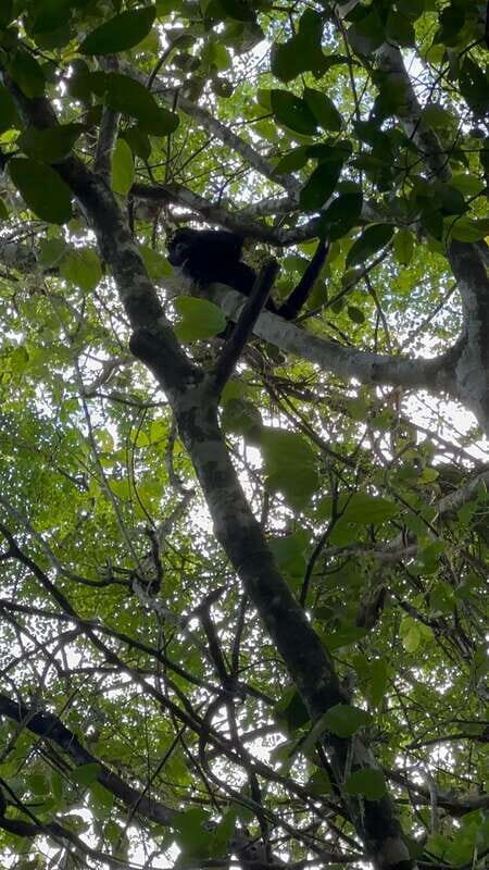 First tour schedule at San Rancho San Manuel - FAQs