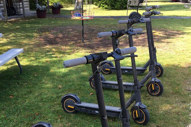 Fish Creek E-Scooter Guided Nature Glide w/ Private Tour Option - Who Is This Tour Best For?