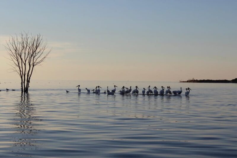 Fish Creek, WI: Sunset Live Music Cruise - Who Would Love This Experience?