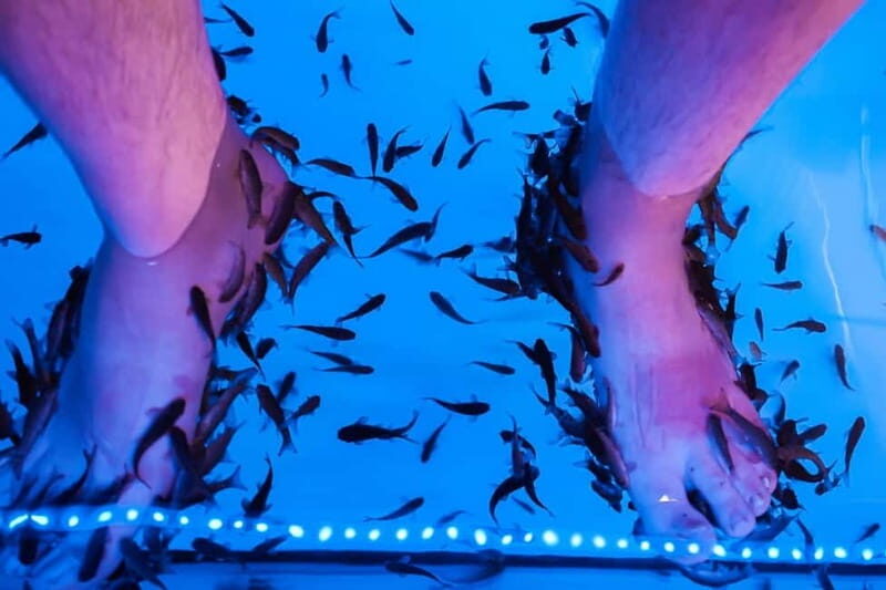 Fish Spa Experience Playa Fañabe - The Sum Up: Who’s It Best For?