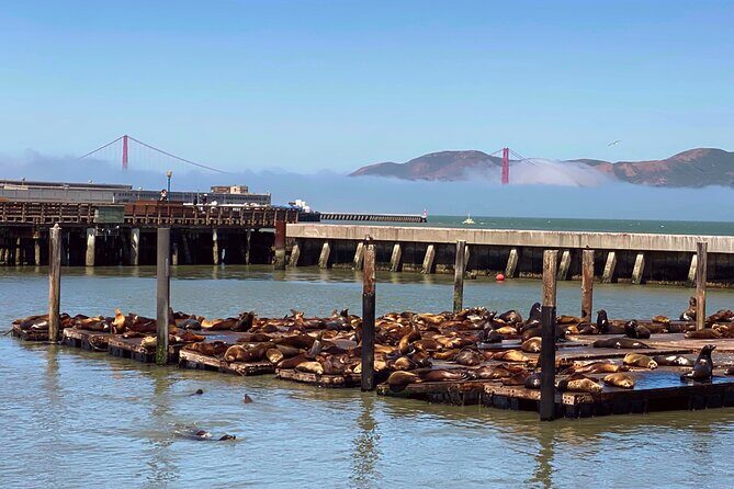 Fisherman's Wharf Guided Walk & Golden Gate Bay Cruise - Key Points