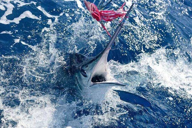 Fishing by Speedboat - Who Is This Tour Best For?