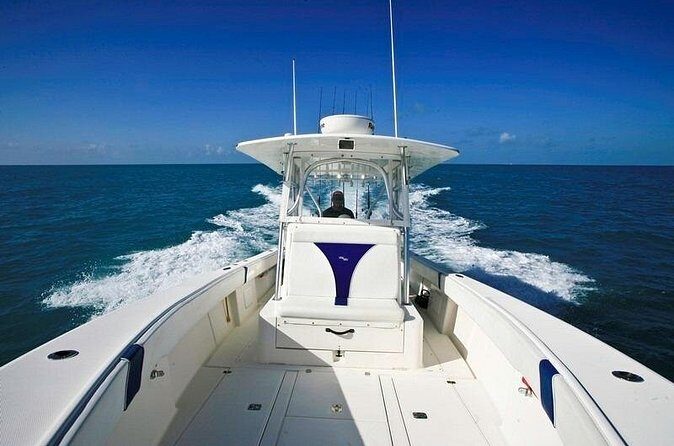 Fishing Charters in Key West Florida - The Actual Experience: What You Can Expect