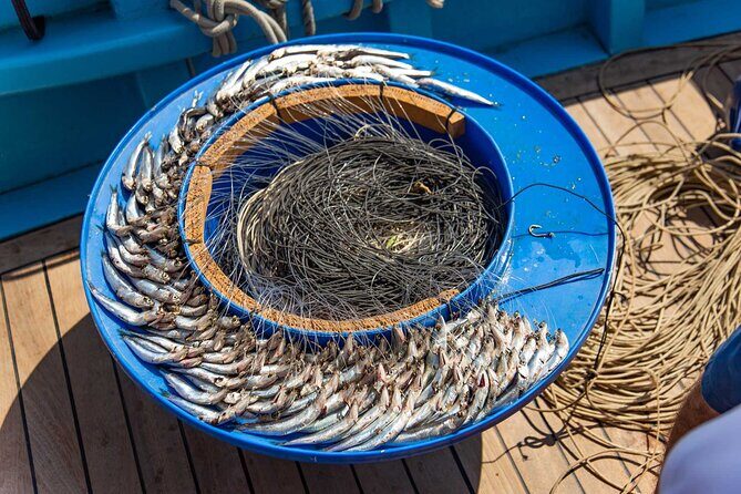 Fishing Experience Around Capri from Sorrento with Lunch Onboard - What Makes This Tour Stand Out?