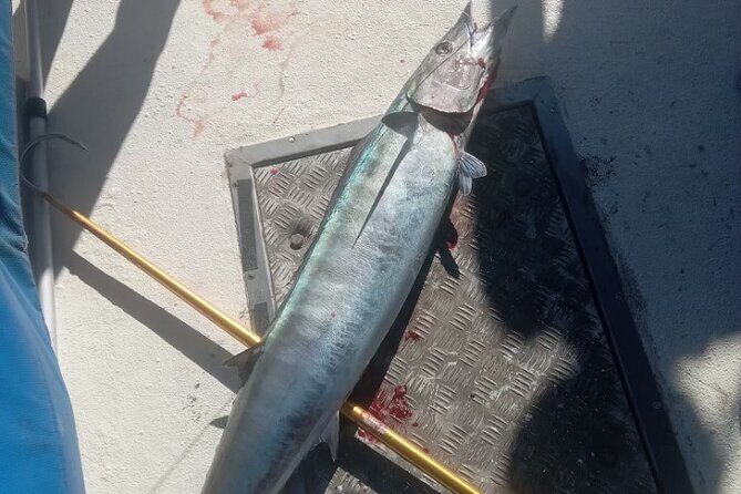 Fishing in Waikiki - FAQ