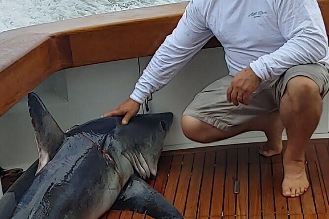 Fishing or Cruising Boston Harbor on Private Yacht Trinacria - FAQ