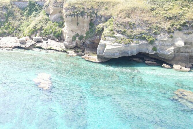 Fishing, Snorkelling & Dolphin Boat Tour - What You Can Expect on This Tour