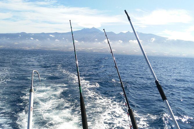 Fishing trip, Tenerife Sea Passion - Frequently Asked Questions