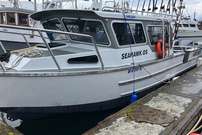 Fishing Whale Watching Hoonah Alaska - Experience Breakdown: What You Can Expect