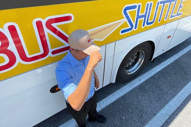 Fiumicino Airport from/to Vaticano Transfer - In-Depth Look at the Transfer Experience