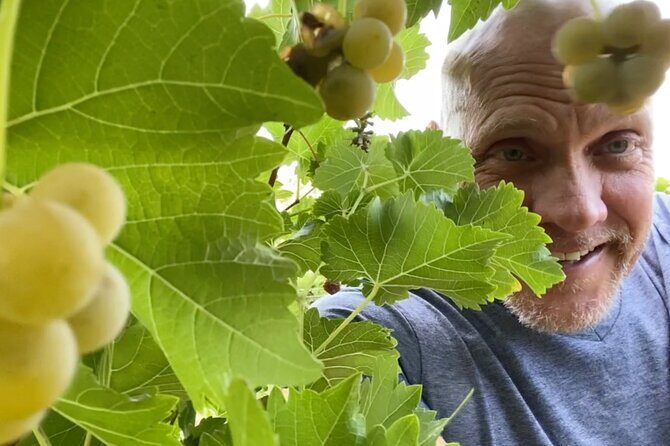 Five Star AZ Wine Crawler Tour 4- 12 PPL - The Value Proposition