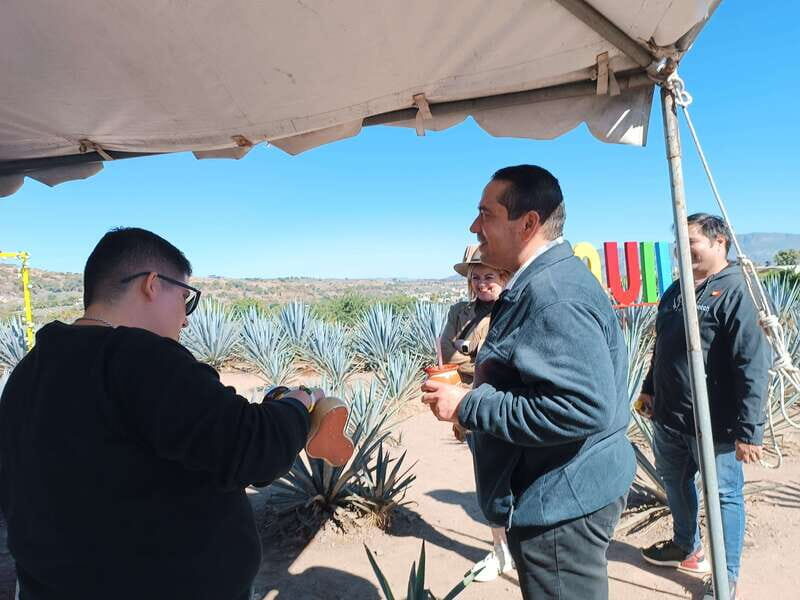 Five-star factory: Meet Orendain tequila. - The Sum Up