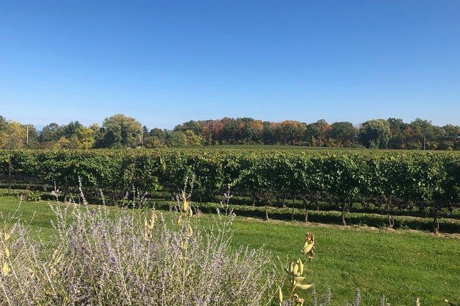 Fixed Price :- Private Transfers Niagara falls Hotel OR Pearson Toronto Airport - The Booking Process and Cancellation Policy