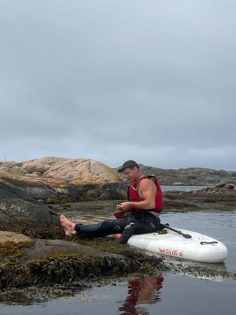 Fjällbacka: Seaweed Picking and SUP Paddling Tour - Key Points