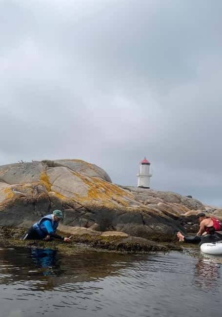 Fjällbacka: Seaweed Picking and SUP Paddling Tour - The Value of the Experience