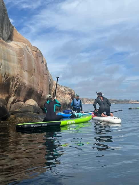 Fjällbacka: Seaweed Picking and SUP Paddling Tour - Is It Worth It?