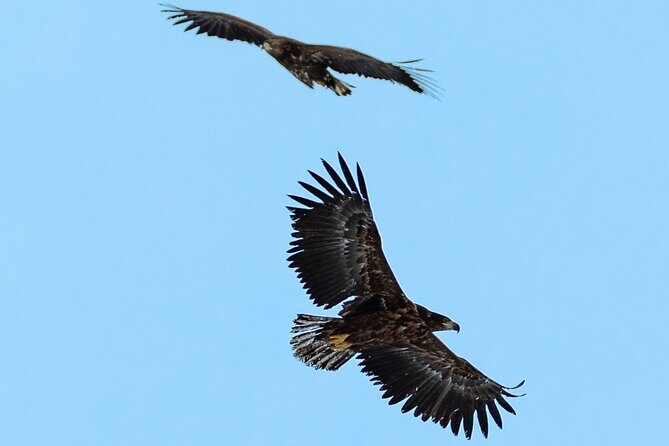 Fjord & History Cruise - The Experience in Detail