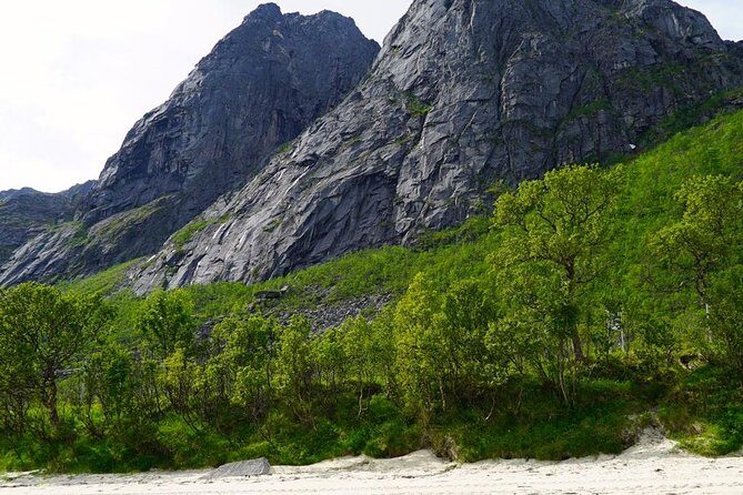 Fjord Sightseeing - Eco friendly Tesla Model X - FAQ