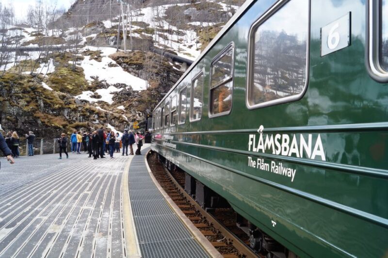 Fjords: Private Trip with Train and Cruise Ride - The Real Traveler Perspective: What the Reviews Say