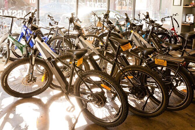 Flagstaff Electric Bike Rental - What to Expect from the Flagstaff E-Bike Rental