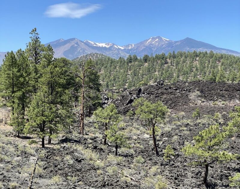 Flagstaff: Grand Canyon, Wupatki & Volcano Christian Tour - What The Tour Includes — And What It Doesn’t